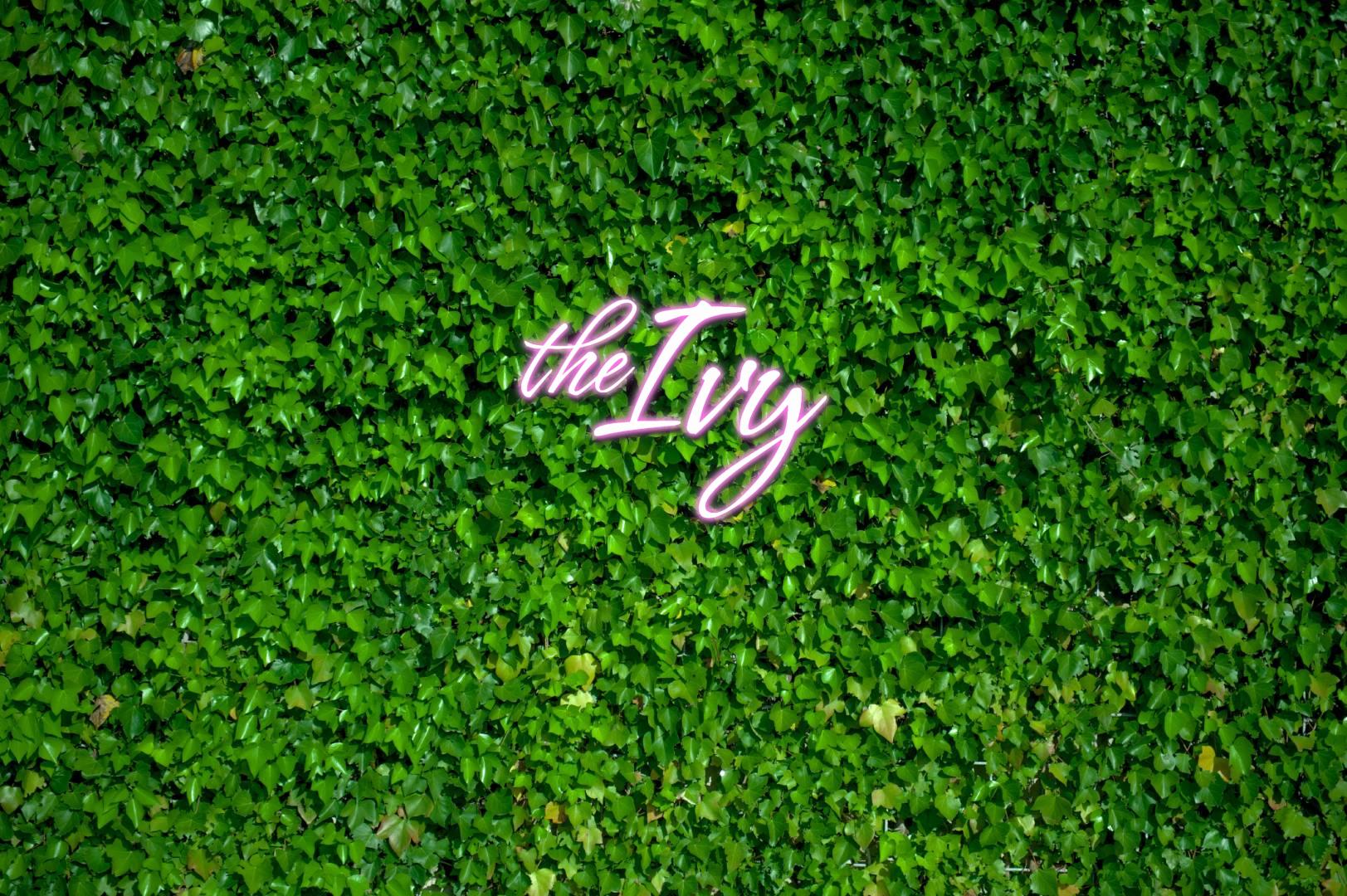 The Ivy hero